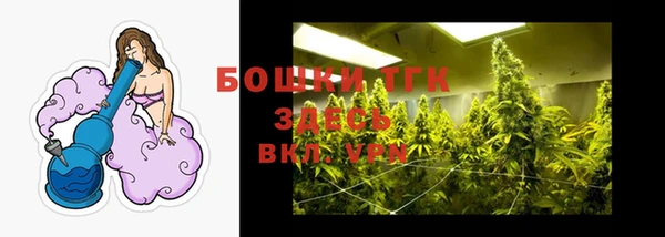 стаф Баксан