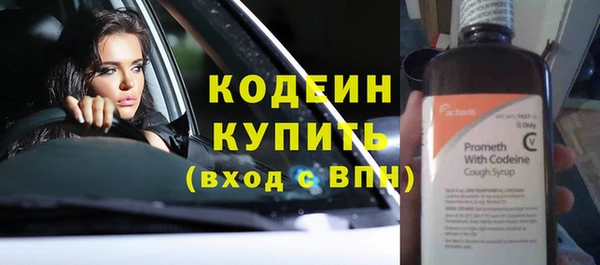 индика Сафоново