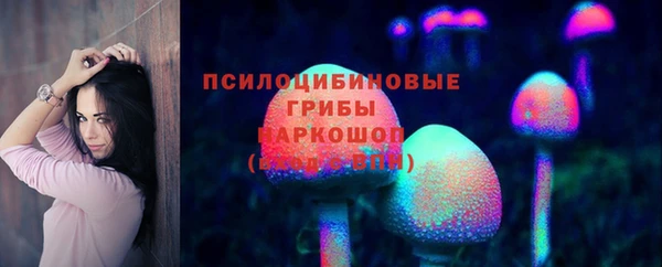 стаф Баксан