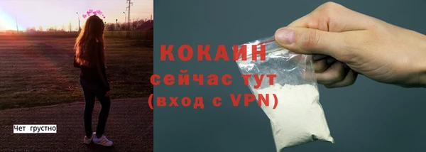сатива Балабаново