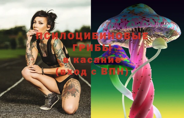 стаф Баксан