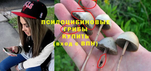 стаф Баксан