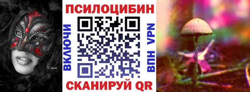 как найти закладки  Кондрово  Галлюциногенные грибы Psilocybe 